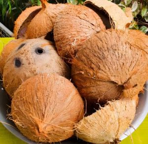 Indonesia coconut shell charcoal export